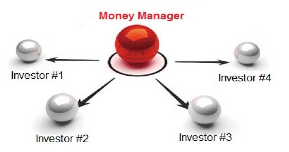 money manager